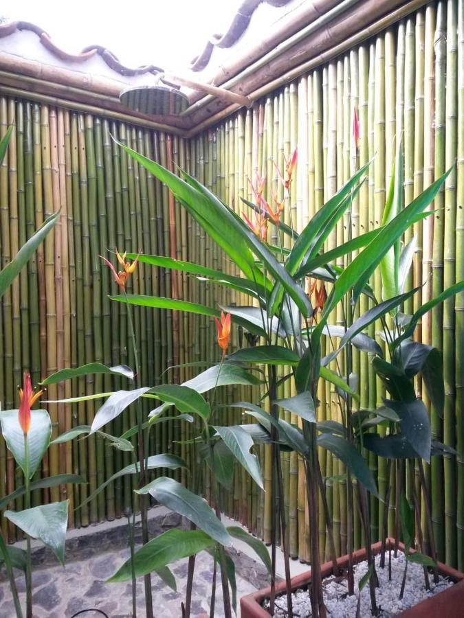 Chinchiná Hacienda Guayabalヴィラ エクステリア 写真